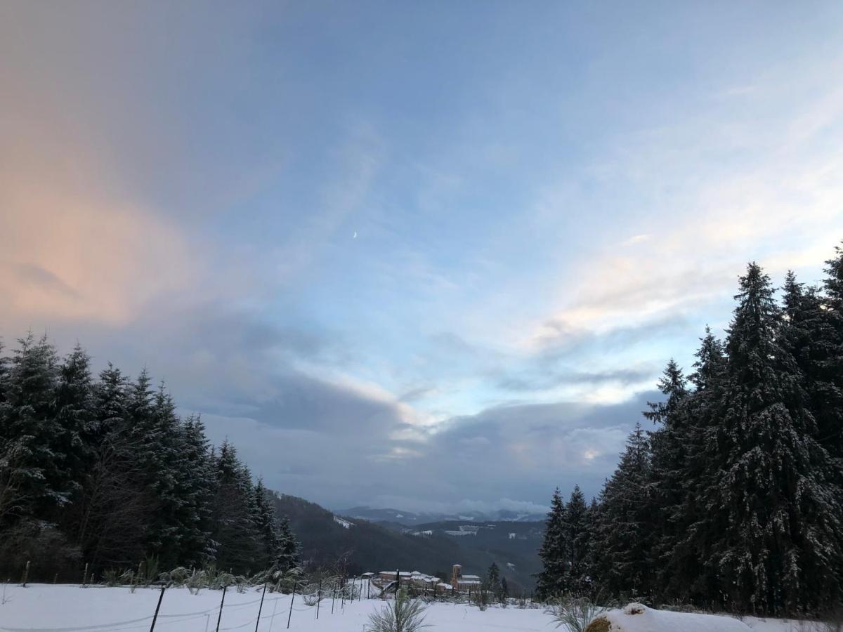 Le Chalet De La Goutte Saint-Appolinaire  Exteriér fotografie